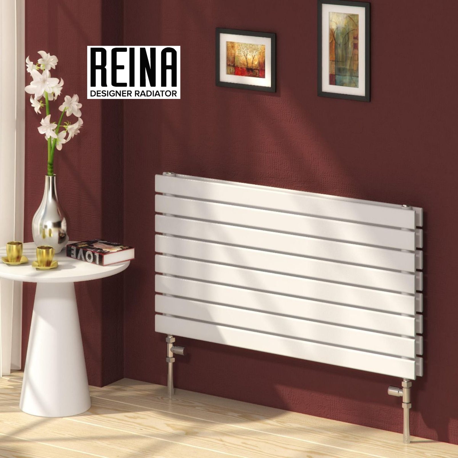 Rione Double Mild Steel Radiator Horizontal